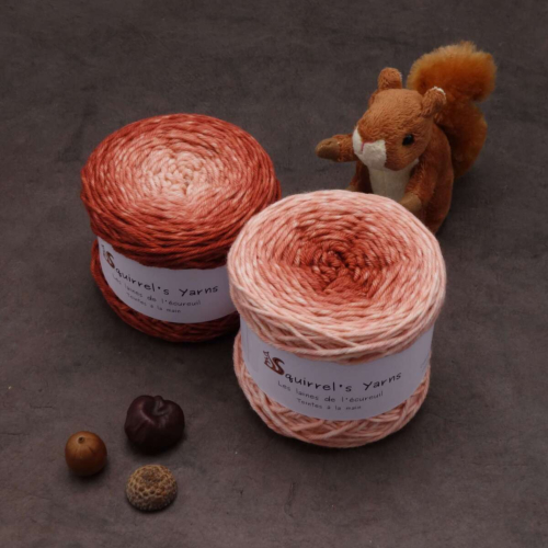 Tourbillon Noisette Aran (éphémère) - Fougères sèches Gradient - 115g
