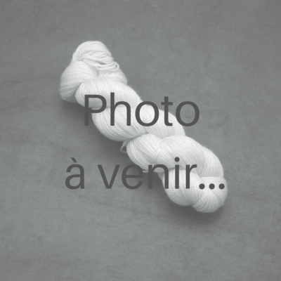 Pas d'image